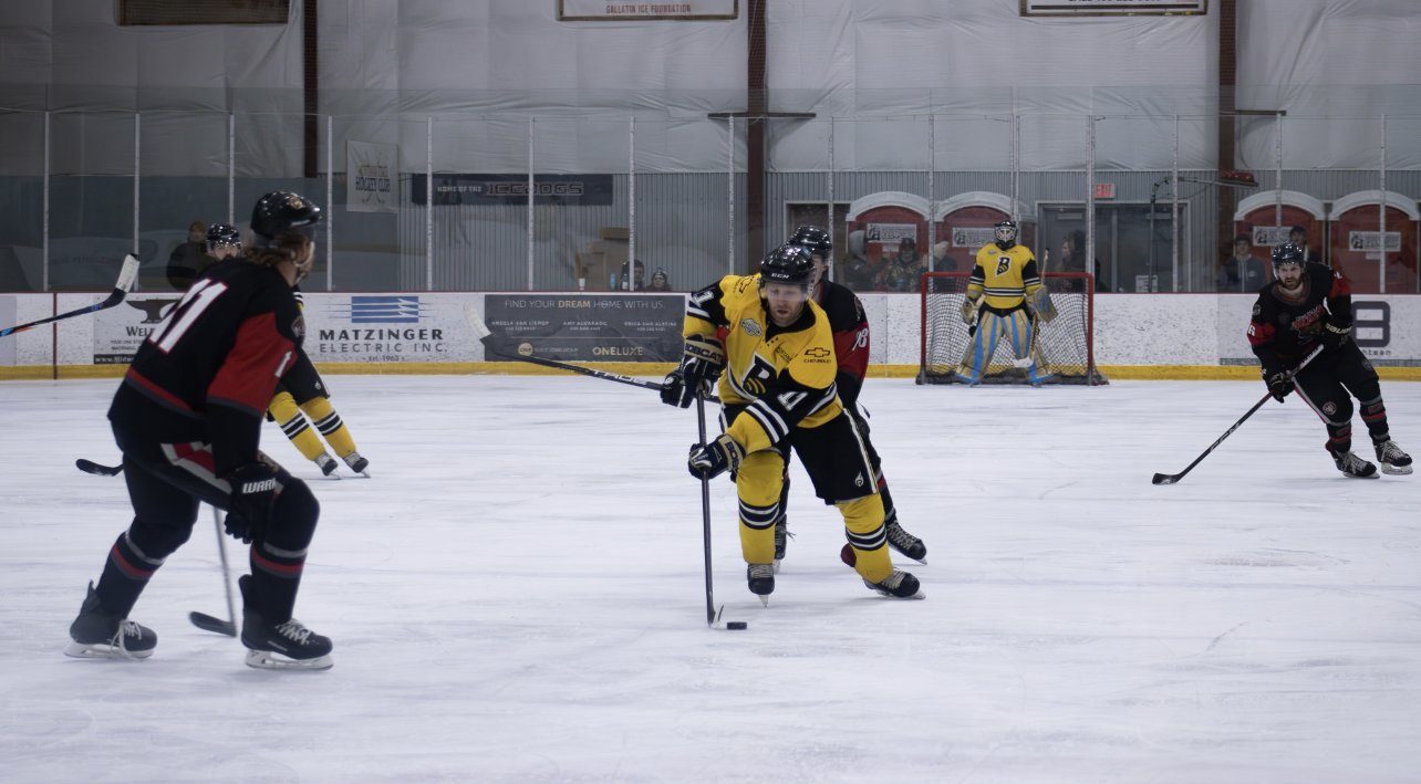  Photo: Bozeman Stingers 